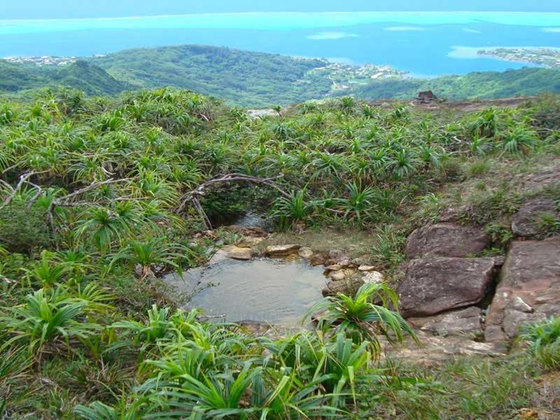 OpoaFare So公寓 外观 照片